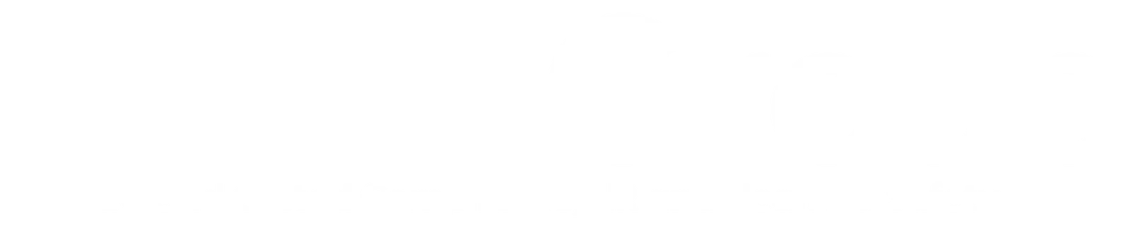 HLTH Group